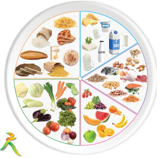 Sağlıklı Yemek Tabağı